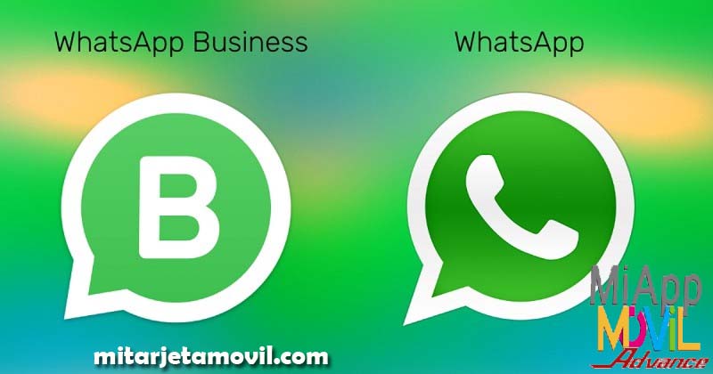 whatsapp business